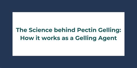 The Science behind Pectin Gelling: How it works as a Gelling Agent ...