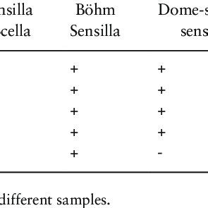 Image result for Functional Testing vs Structural Testing