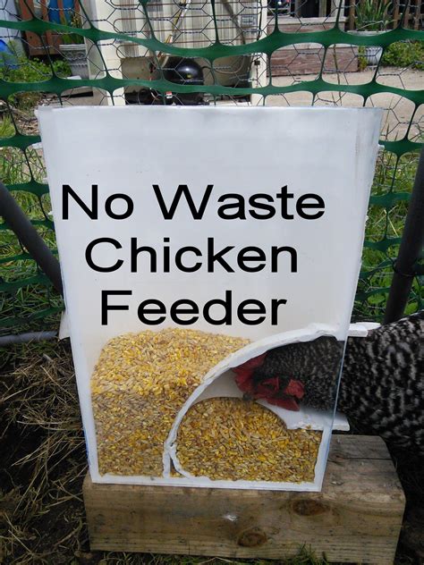 Diy Chicken Feeder 5 Gallon Bucket