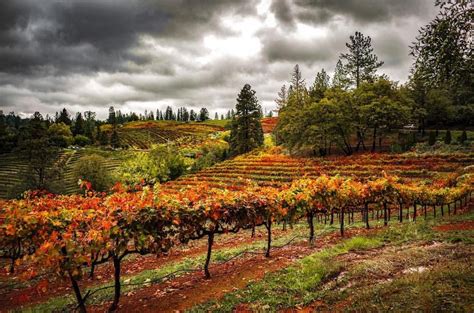 Apple Hill Campground: Camping & Hiking in the Sierra Nevada