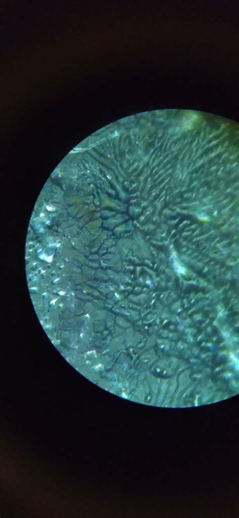 Osmium's beautiful crystal structure as seen through a microscope. : r ...