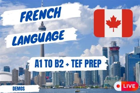 FRENCH LANGUAGE - About the Course