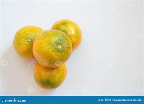 Set of tangerines stock image. Image of white, juicy - 60124011