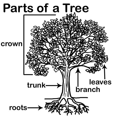 Image result for Tree Structure HTML/CSS