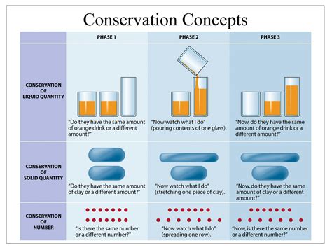 Conservation Of Quantity Piaget