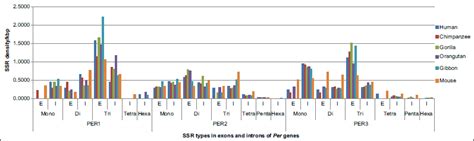 Analysis of simple sequence repeats in Period genes in mammals