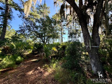 Beaufort St. Helena Island 2.5 AC Tidal Creek Lot | Beaufort County ...