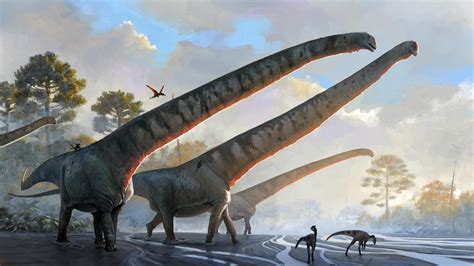Longest Neck of Any Animal Ever: New Fossil Analysis Reveals Dinosaur ...