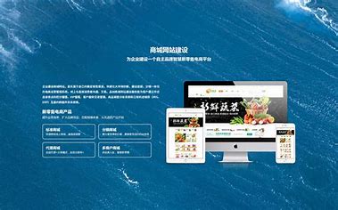 陕西网站seo排名 的图像结果