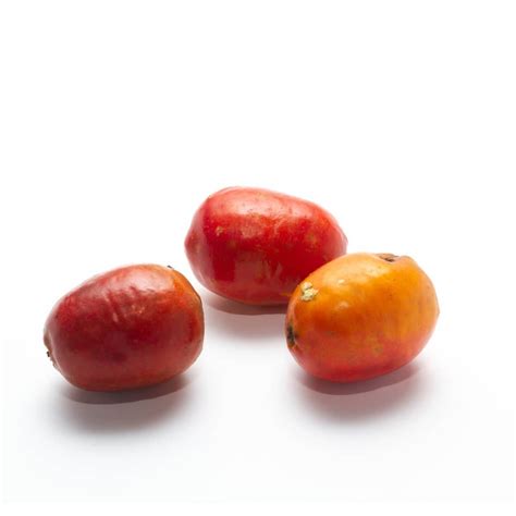 Sin título — El Jocote corona (Spondias purpurea L.) es una de...