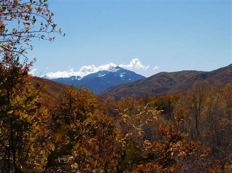 For Utah’s beautiful autumn leaves, wheelchair access and a living ...