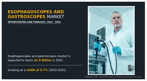 Esophagoscopes & Gastroscopes Market Size & Share | By 2031