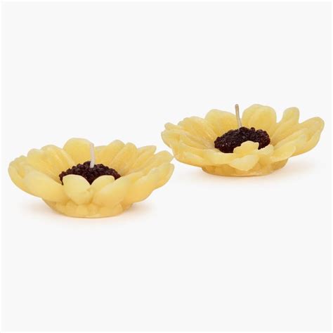 Buy Redolance Decorative Floating Candle- Set Of 2 - 8 CM from Home ...