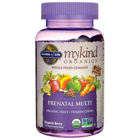 Garden of Life mykind Organics Prenatal Once Daily Multi 90 Organic ...