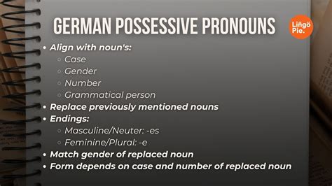 German Possessive Pronouns German Possessive Adjectives: Your