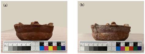Investigation of Whitening Mechanism on Cultural Relic Surfaces Treated ...