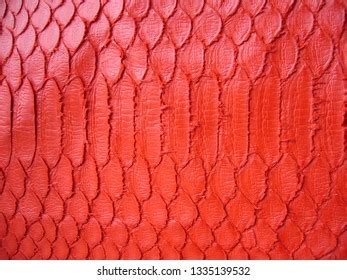 Image result for Macam2 Red Python
