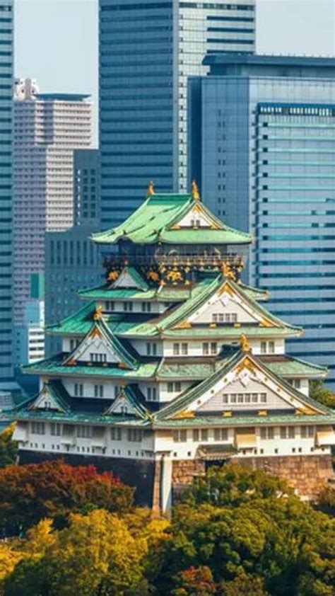 Japan Famous Architecture 的图像结果