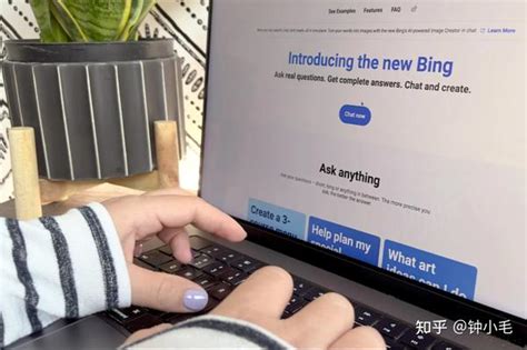 微软 的 必 应 聊天 功能 的图像结果