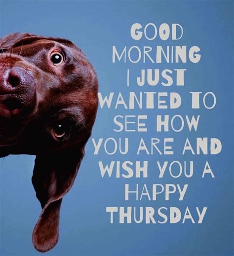 101 Funny Thursday Memes to Make You Happy All Day Long | Happy ...