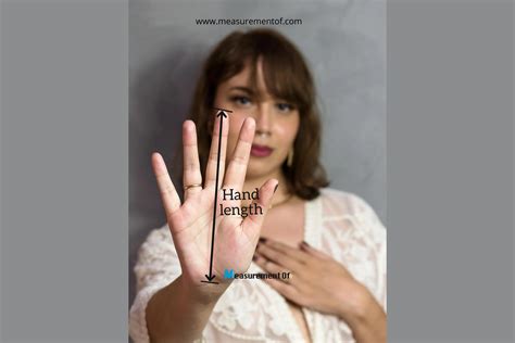 How Big Is 6 Inches?