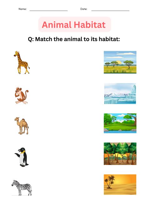 Animal And Their Habitats Ks2 Worksheets 25 Animal Habitat Worksheets