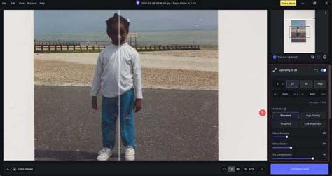 Topaz AI Tutorial 的图像结果