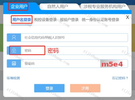 海南省电子税局登录说明 - 自记账