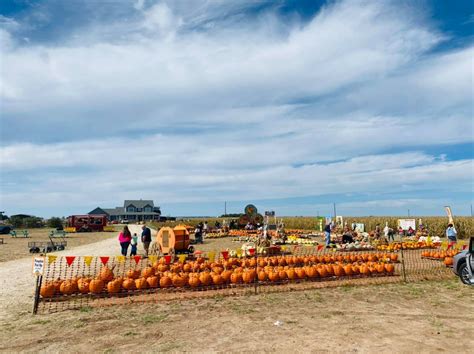 10 Texas Pumpkin Patches for Autumn Family Fun | Discover Texas