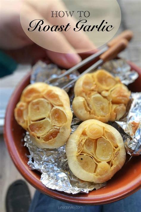 How to roast garlic in the oven best – Artofit