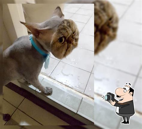 Almusalan ni Lola B restaurant, Manila - Restaurant reviews