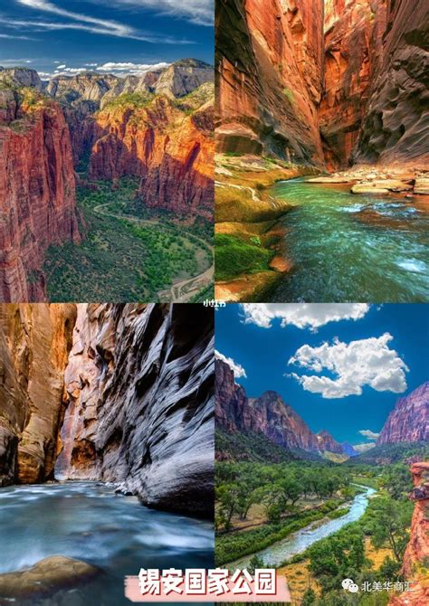 乔治 华盛顿 和 杰斐逊 国家 公园 的图像结果