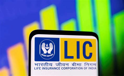 LIC’s 2025 scorecard: 64% stocks end in red, but 77 beat Nifty ...