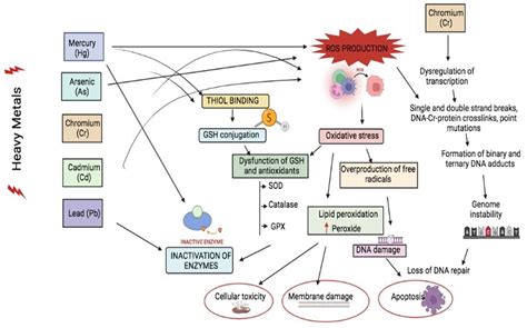Mixed Contaminants: Occurrence, Interactions, Toxicity, Detection, and ...