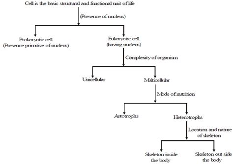Speciation, Evolution and Classification - Class 10 PDF Download