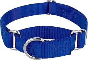 Buy For Your Pets Martingale Collar for Medium Dogs Collar with Durable ...