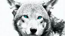 Wolf Wallpaper Sketch by Wolf Wallpapers Wallpaper Cave Wolf Wallpaper Sketch