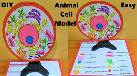 Image result for Cell Project Examples