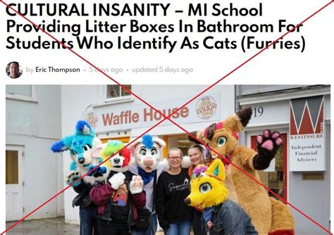 Michigan school not providing litter box for students identifying as ...