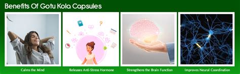 Planet Ayurveda Gotu Kola to Balance all three Dosha - 60 Capsules ...