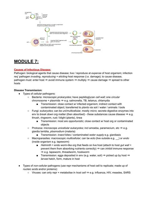 Image result for HSC Bio Notes