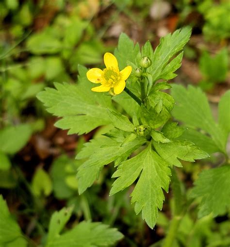 Image result for Test Spring Squareness