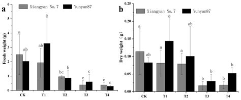 The Effect of Far-Red Light on the Growth of Tobacco Leaves