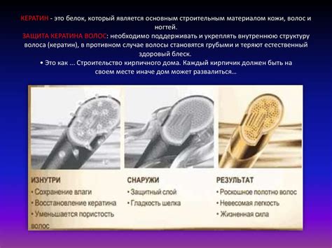 Процесс Кератинизации. Морфология процесса кератинизации - презентация ...