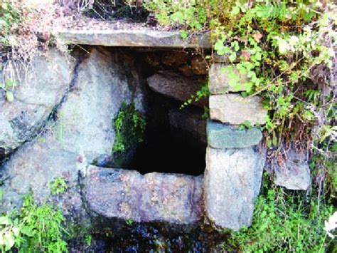 Image result for Spring House History