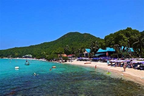 PATTAYA: TOUR CORAL ISLAND SPEED BOAT, SEA WALK AND OTHERS CHOICE ...