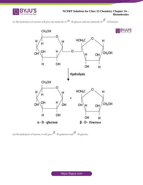 Image result for Biomolecules Class 12th