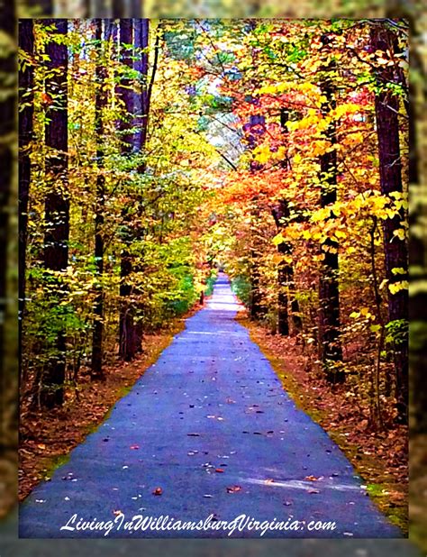 Living In Williamsburg, Virginia: Waller Mill Park Fall Hike ...