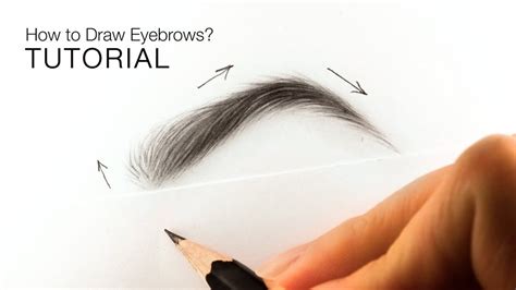 Image result for How Do You Draw Eyebrows