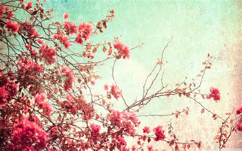 Vintage Flower Wallpapers - Top Free Vintage Flower Backgrounds ...